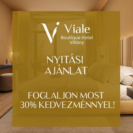 Viale Boutique Hotel Villány Екстериор снимка
